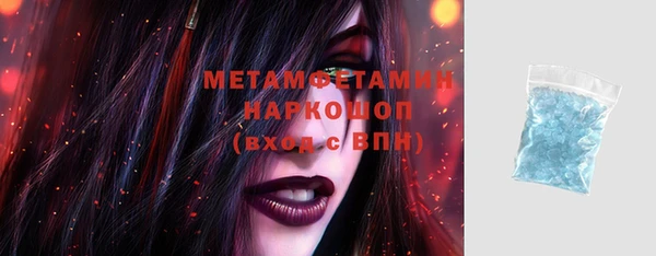 шишки Няндома