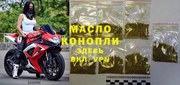 шишки Няндома