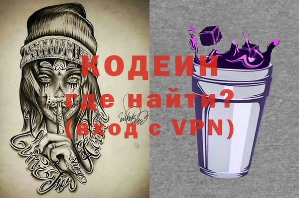 шишки Няндома
