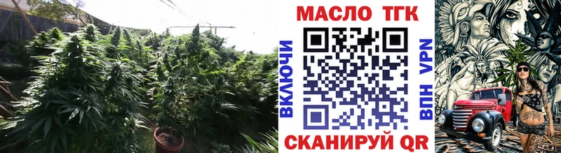 darknet как зайти  Петров Вал  ТГК жижа 