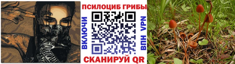 Псилоцибиновые грибы GOLDEN TEACHER  Петров Вал 